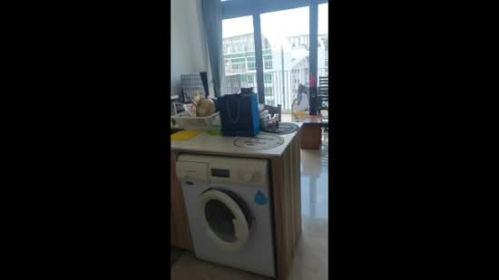 Eco Sanctuary, 65 Chestnut Avenue, 1 Bedroom, 506 sqft, Condominium For Rent, by William Sim Chen Hong 沈宸鋐, 500086907 - PropertyGuru.com.sg