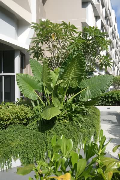 Harbour View Gardens Apartment For Sale at S$ 1,400,000 | PropertyGuru Singapore - Exterior