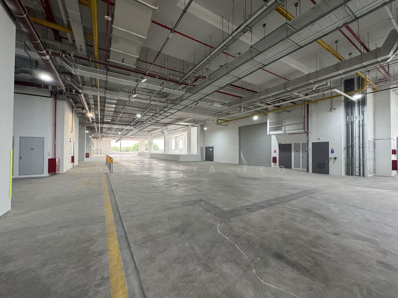 CT Foodnex, 2A-2B Mandai Estate, 1,938 sqft, Factory / Workshop (B2) For Rent, by Cynthia Teo, 500087121 - Interior - CommercialGuru.com.sg