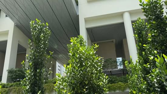 Boulevard 88, 86 Orchard Boulevard, 3 Bedrooms, 1,776 sqft, Condominium For Rent, by Terry Wee, 500087127 - PropertyGuru.com.sg