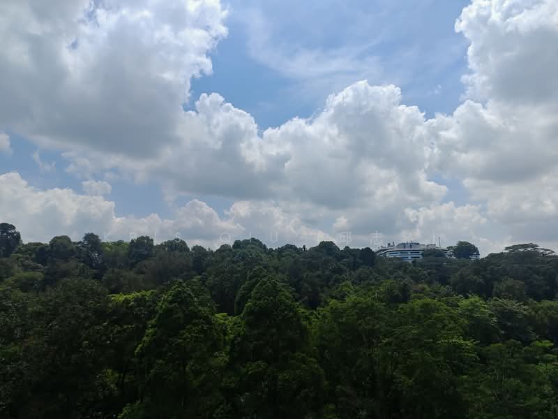 Normanton Park, 57 Normanton Park, 3 Bedrooms, 936 sqft, Condominium For Rent, by Kris Qiu (邱志琴), 500087441 - PropertyGuru.com.sg