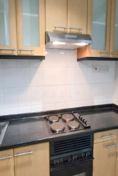 Riverside 48, 48 Robertson Quay, 1 Bedroom, 764 sqft, Apartment For Rent, by Calvin Choh, 500087652 - Kitchen - PropertyGuru.com.sg