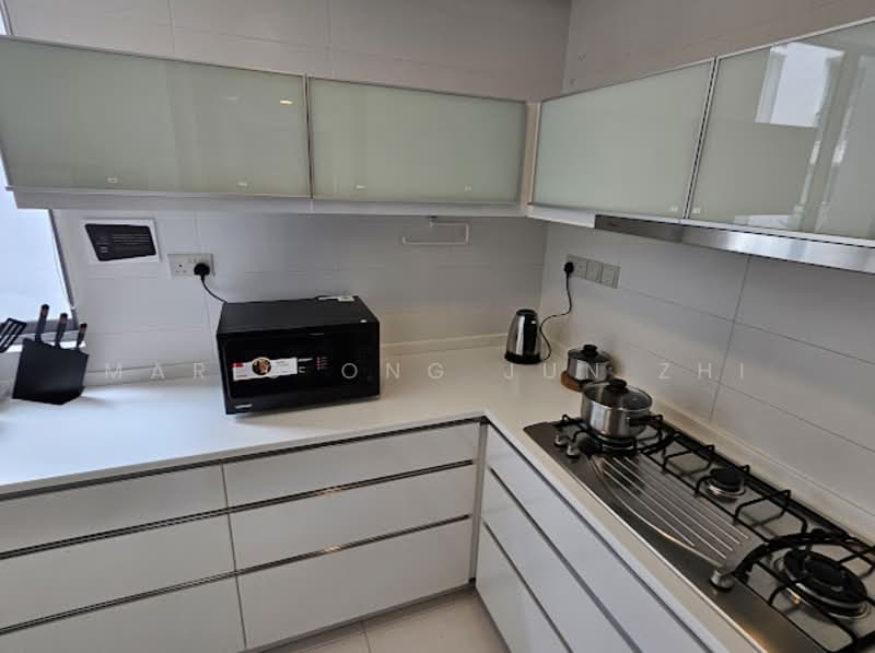 The Rochester Residences, 33 Rochester Drive, Room Rental, 120 sqft, Apartment For Rent, by Mario Ong Jun Zhi, 500087986 - Kitchen - PropertyGuru.com.sg