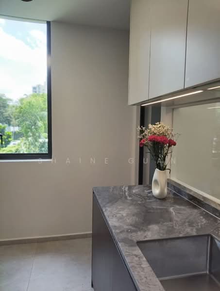 Leedon Green Condominium For Sale at S$ 3,688,000 | PropertyGuru Singapore - Kitchen