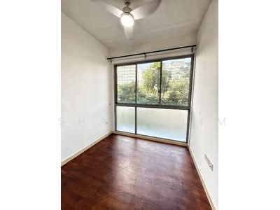 For Rent - Skies Miltonia