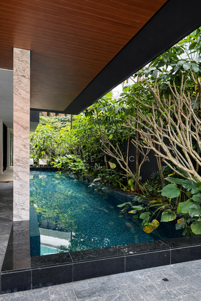 Gorgeous Brand New Semi-D Nassim, Stevens Semi-Detached House For Sale at S$ 14,980,000 | PropertyGuru Singapore - Pool