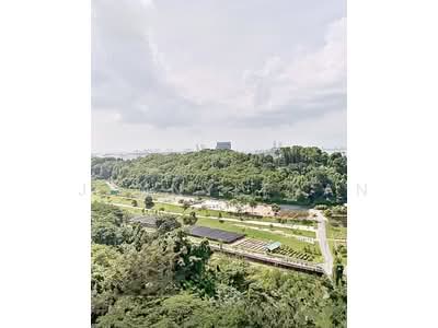 For Sale - Normanton Park