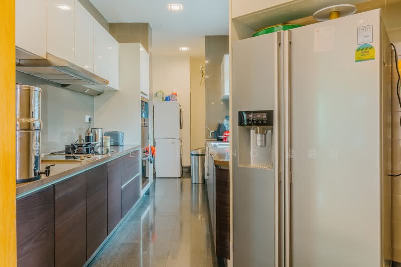 ❤️Huge Duplex Penthouse with Roof Terrace and 5 Bedrooms in River Valley❤️ Grace 8.4.8.2.9.8.6.8. Condominium For Sale at S$ 8,499,999 | PropertyGuru Singapore - Kitchen