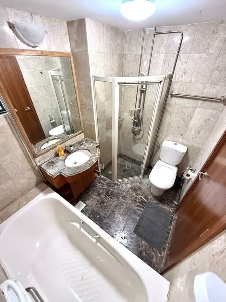 Tanglin View, 156 Prince Charles Crescent, Room Rental, 150 sqft, Condominium For Rent, by Sean Ong, 500089189 - Bathroom - PropertyGuru.com.sg