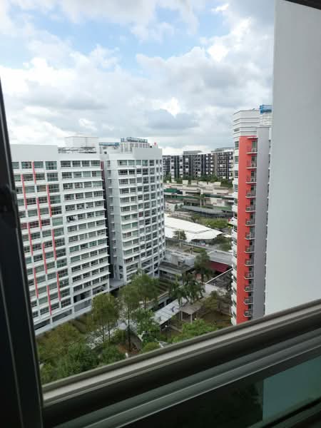 273D Compassvale Link, 273D Compassvale Link, Room Rental, 80 sqft, HDB Flat For Rent, by Michelle Li, 500089672 - View - PropertyGuru.com.sg