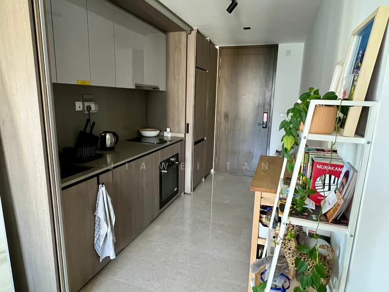 Avenue South Residence, 3 Silat Avenue, 1 Bedroom, 527 sqft, Condominium For Rent, by Jiawei Tan, 500089726 - Kitchen - PropertyGuru.com.sg
