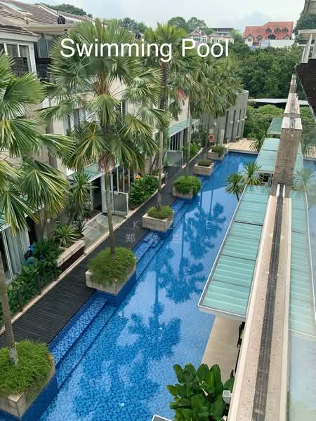 The Greenwood, 239 Greenwood Avenue, 5 Bedrooms, 3,000 sqft, Terraced House For Rent, by Frank Zheng 郑舜臣, 500089889 - Pool - PropertyGuru.com.sg