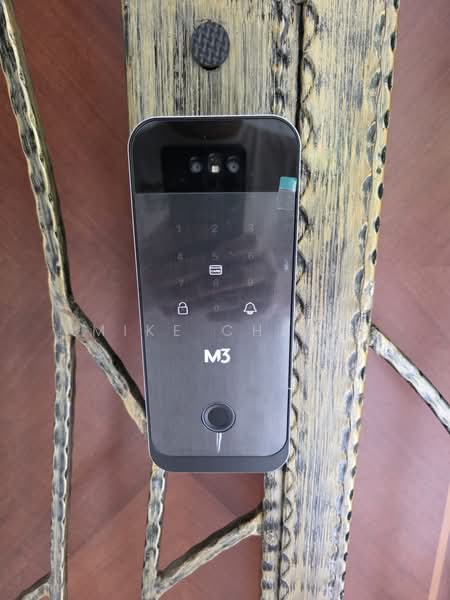 For Rent - 317 Woodlands Street 31