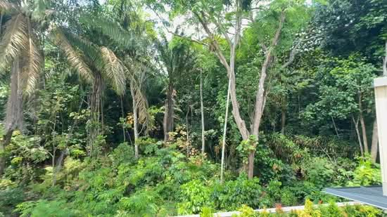 Greenbank Park Semi-Detached House For Sale at S$ 9,500,000 | PropertyGuru Singapore