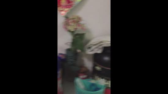 301A Anchorvale Drive, 301A Anchorvale Drive, 3 Bedrooms, 1,184 sqft, HDB Flat For Rent, by Wai Keet Ng (伍伟杰), 500090167 - PropertyGuru.com.sg