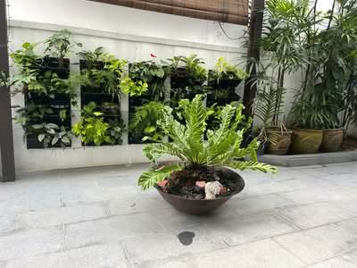 For Rent - Jalan Tempua - near Botanic Gardens