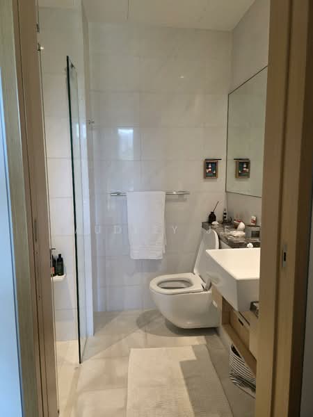 Cliveden at Grange, 102 Grange Road, 4 Bedrooms, 2,842 sqft, Condominium For Rent, by Audrey Je, 500090499 - Bathroom - PropertyGuru.com.sg