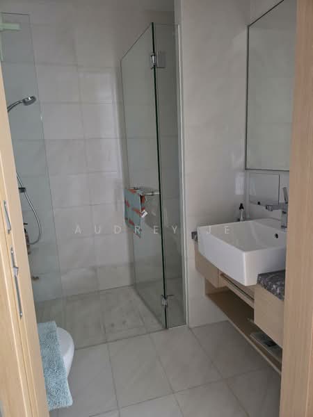 Cliveden at Grange, 102 Grange Road, 4 Bedrooms, 2,842 sqft, Condominium For Rent, by Audrey Je, 500090499 - Bathroom - PropertyGuru.com.sg