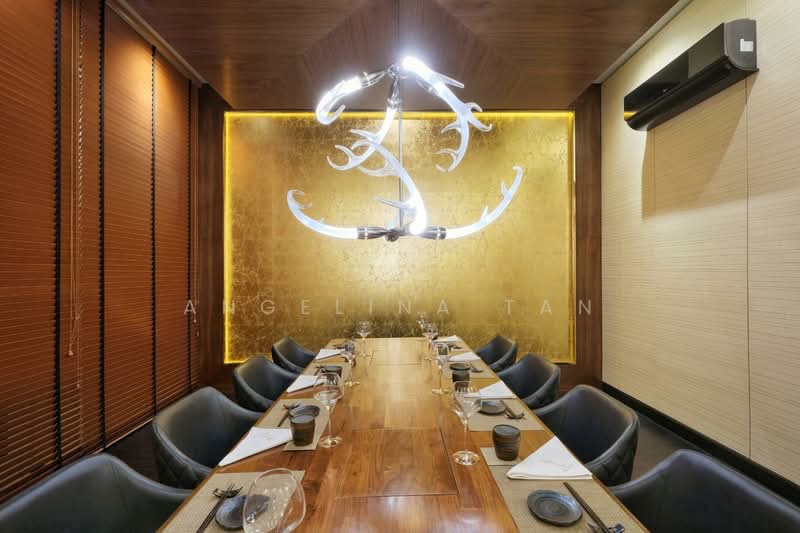 3 Levels and Attic F&B Ready plus Office Shophouse @ Tras Street, , 4,359 sqft, Food & Beverage For Rent, by Angelina Tan, 500090543 - Dining Room - CommercialGuru.com.sg