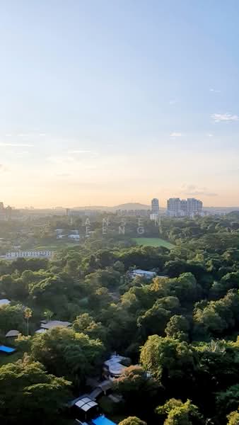 96 Dawson Road, 96 Dawson Road, 2 Bedrooms, 678 sqft, HDB Flat For Rent, by Jansen Feng, 500090589 - Service yard view - PropertyGuru.com.sg