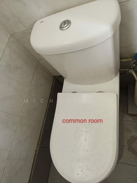 252 Bukit Batok East Avenue 5 HDB Flat For Sale at S$ 418,000 | PropertyGuru Singapore - Bathroom
