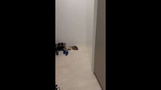 Highline Residences, 1 Kim Tian Road, Studio, 250 sqft, Condominium For Rent, by Ricky Neo Wee Hock, 500090656 - PropertyGuru.com.sg
