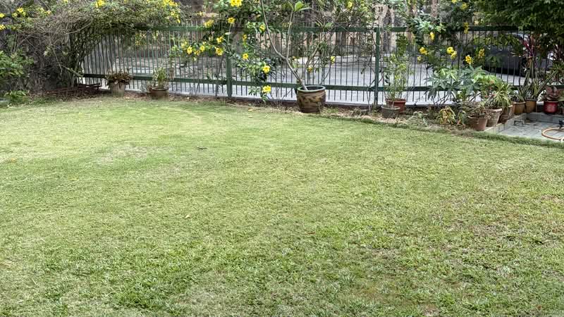 Phoenix gardens Detached House For Sale at S$ 11,388,000 | PropertyGuru Singapore - Garden