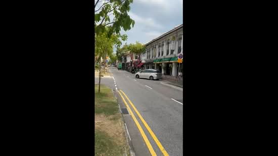 Joo Chiat Road, Joo Chiat Road, 3,000 sqft, Shop / Shophouse For Sale, by Selena Yap, 500091186 - CommercialGuru.com.sg