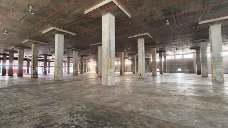 Logistics Warehouse With High Efficiency Facility, , 52,000 sqft, Warehouse For Rent, by SHARON, 500091477 - Interior - CommercialGuru.com.sg