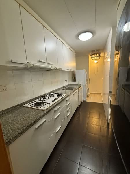 Amaryllis Ville, 20 Newton Road, 2 Bedrooms, 980 sqft, Condominium For Rent, by Prema Irangani, 500091621 - Enclosed Kitchen + Yard - PropertyGuru.com.sg