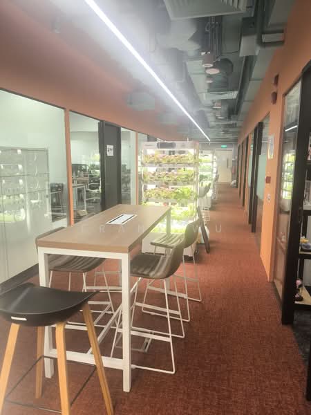 Robinson 77, 77 Robinson Road, 125 sqft, Office For Rent, by Frank Wu, 500091649 - Corridor - CommercialGuru.com.sg