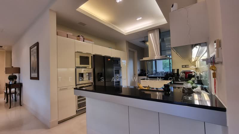 Parkview Eclat Condominium For Sale at S$ 10,800,000 | PropertyGuru Singapore - Kitchen