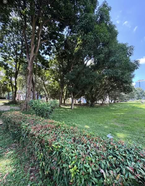 349 Woodlands Avenue 3, 349 Woodlands Avenue 3, 3 Bedrooms, 904 sqft, HDB Flat For Sale, by Jaine Lidu, 500091832 - Encroach by nature - PropertyGuru.com.sg