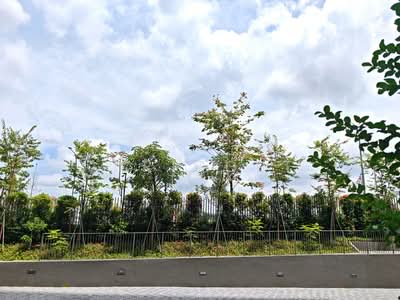 For Sale - The Botany at Dairy Farm