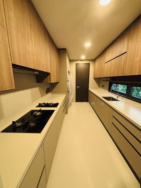 Villas @ Greenbank Park Semi-Detached House For Sale at S$ 9,500,000 | PropertyGuru Singapore - Kitchen