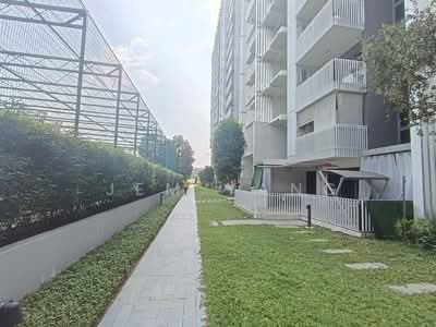 For Rent - The Lakefront Residences