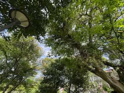 For Sale - Springleaf Collection