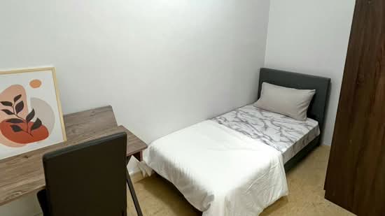 Thomson Euro-Asia, 150 Thomson Road, Room Rental, 120 sqft, Condominium For Rent, by Steve Voon, 500092469 - PropertyGuru.com.sg