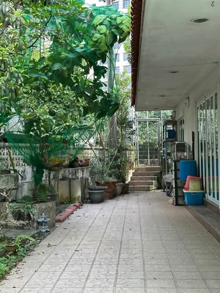 Thomson Garden Estate, Jalan Pintau, 3 Bedrooms, 2,002 sqft, Terraced House For Sale, by Roy Tan, 500092777 - Exterior - PropertyGuru.com.sg