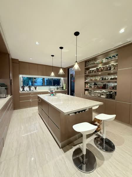 Jalan Selanting Semi-Detached House For Sale at S$ 11,880,000 | PropertyGuru Singapore - Kitchen