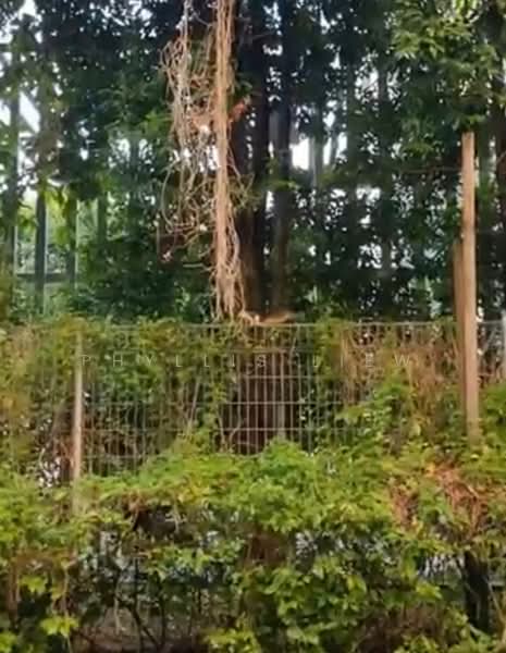 Fragrant Gardens, 357 Upper Paya Lebar Road, Room Rental, 180 sqft, Apartment For Rent, by Phyllis Liew, 500093125 - PropertyGuru.com.sg