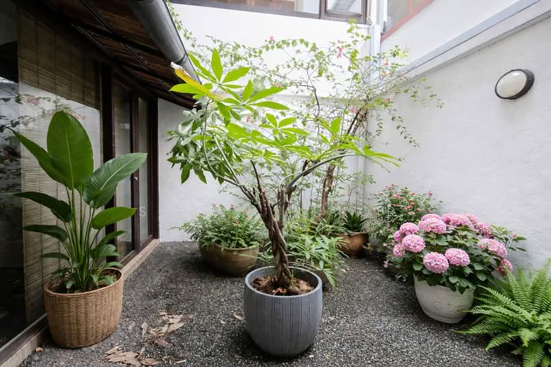 Cosy Emerald 1 Bed No Cooking, $4K, EMERALD HILL CONSERVATION AREA, 1 Bedroom, 950 sqft, Conservation House For Rent, by Susan Prior, 500093200 - Garden - PropertyGuru.com.sg