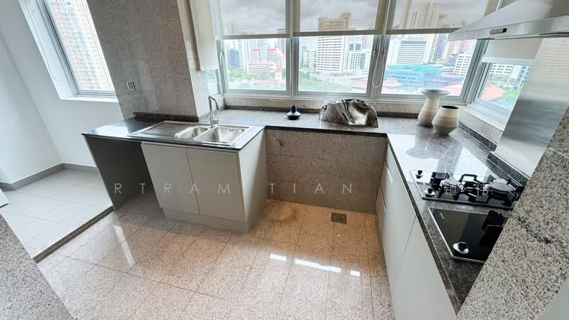 Draycott Eight Condominium For Sale at S$ 6,320,520 | PropertyGuru Singapore - Kitchen