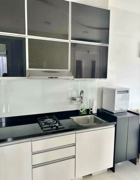 The Mercury, 38 Shanghai Road, 1 Bedroom, 635 sqft, Condominium For Rent, by Jackie Tan 陳筱薇, 500093347 - Kitchen - PropertyGuru.com.sg