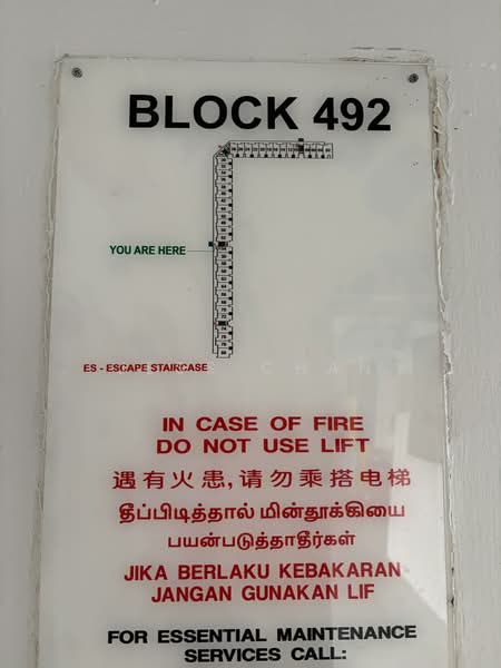 For Rent - 492 Jurong West Street 41