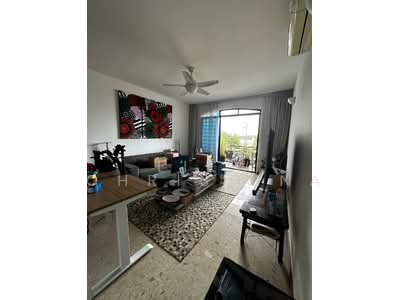 For Sale - The Merasaga