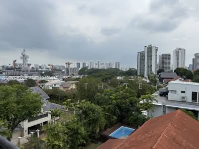 For Sale - Henry Park Elevated with View