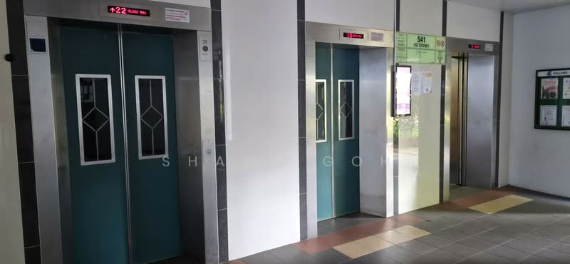 541 Bukit Panjang Ring Road HDB Flat For Sale at S$ 622,888 | PropertyGuru Singapore - Corridor