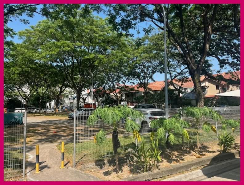 Lavender street shophouse retail, F&B, shops, Lavender Street, 1,286 sqft, Shop / Shophouse For Rent, by Sean Yin, 500095094 - Exterior - CommercialGuru.com.sg