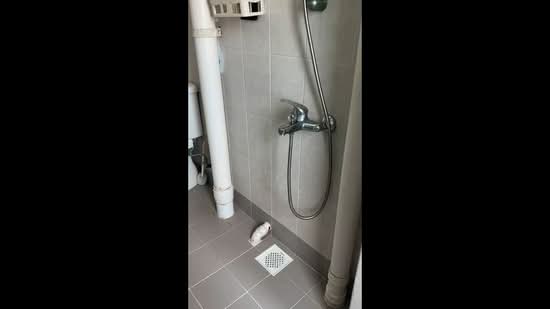 Braddell View, 10D Braddell Hill, Room Rental, 129 sqft, Apartment For Rent, by Ng Priscilla, 500095118 - PropertyGuru.com.sg